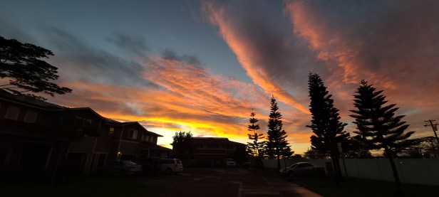 A simple beautiful moment. Life is good